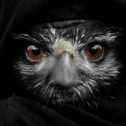 owlman